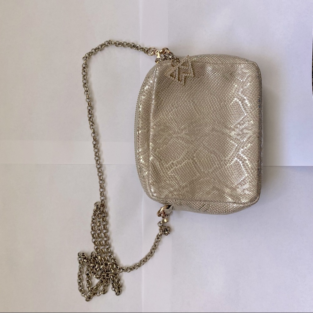 Kelly Wynn’s Crossbody Purse Iridescent